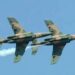 NAF airstrikes kill over 28 terrorists in Niger