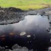 Beyond Oil: Niger Delta Development and Failed Promises