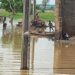11 Killed, 529 Communities Affected In Niger Catastrophic Flooding