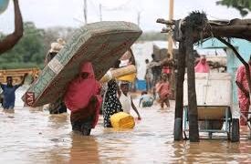 SEMA seeks for support for Jigawa flood victims