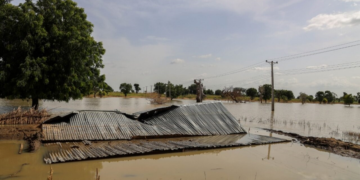 Maiduguri flood: Situation still terrible — SEMA
