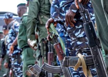 NSA accuses policemen, soldiers of selling weapons to bandits, terrorists