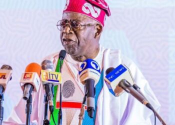 Nigeria not snubbed in UN Human Rights Council election – Presidency