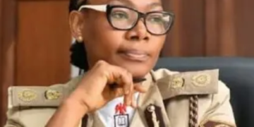 NIS addresses visa-on-arrival application process