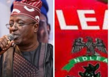 Senate Investigates NDLEA’s Drug Accusations Against Ashiru