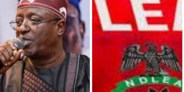 Senate Investigates NDLEA’s Drug Accusations Against Ashiru