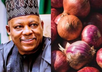 NOPPMAN Hold 2-Days International Onion Conference 15th, 16th