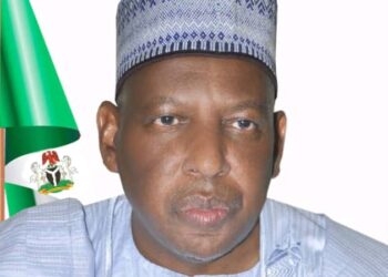 UBEC; Reforming Deficits Towards Enhancing Performance