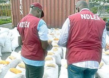 NDLEA intercepts N7bn opioids at Apapa, Onne seaports