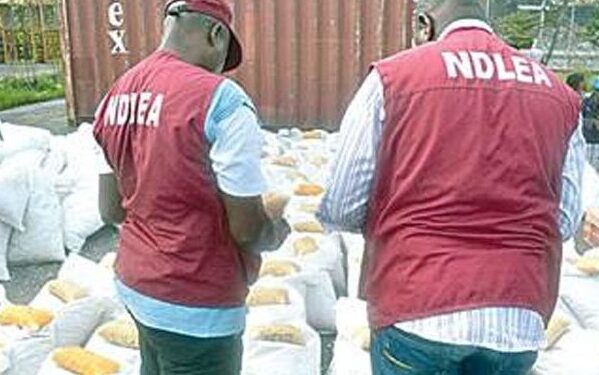 NDLEA intercepts N7bn opioids at Apapa, Onne seaports