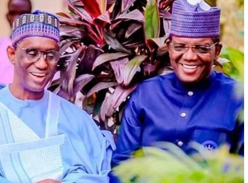 Political Criticism Of Matawalle, Ribadu Over Banditry Unnecessary Distractions – Shehu Sani
