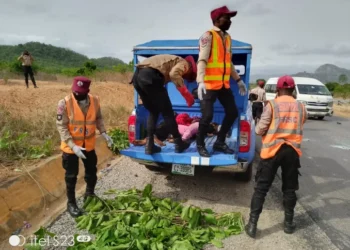 2 die in Lagos-Badagry Expressway auto crash