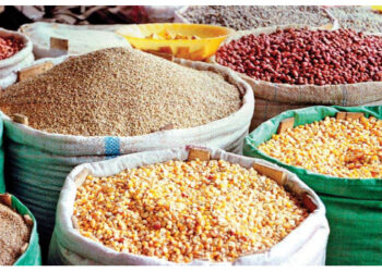 Over One Million Nigerians Impacted by Severe Food Crisis – World Bank Report