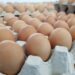 Poultry farmers, others lament egg price hike, seek FG intervention