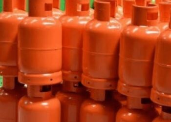 Nigerian Govt halts VAT on diesel, cooking gas to woo investors