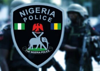 Police Dismantle IPOB/ESN Terrorist Camp in Imo, Arrest 29 Suspects