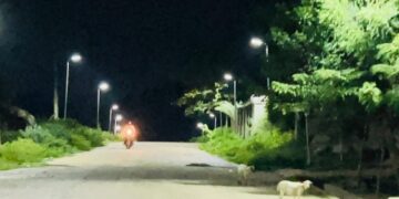 Kogi Central: Senator Natasha lights up Ege community in Adavi LGA