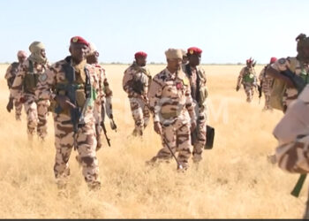 Chad Army eliminates ‘many’ Boko Haram terrorists in air strikes