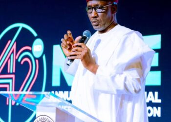 Kyari Envisions a Sustainable Energy Future for Nigeria