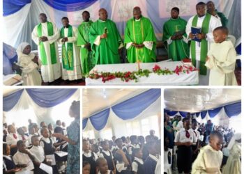 Poor Education: Catholic Archbishop knocks Government over multiple taxes on Missionary Schools