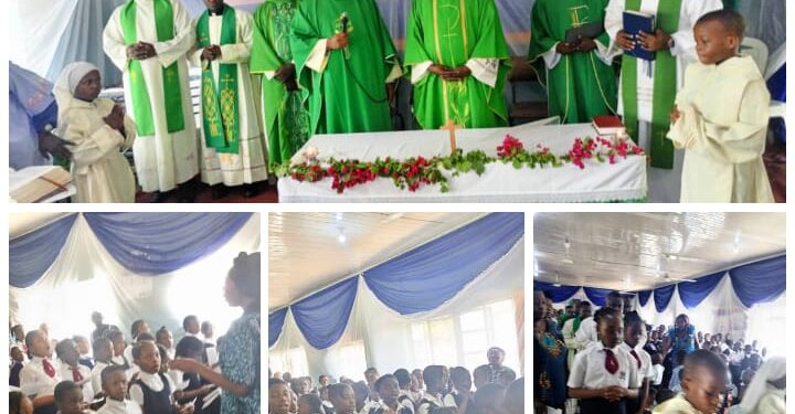 Poor Education: Catholic Archbishop knocks Government over multiple taxes on Missionary Schools