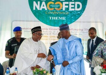 Tinubu working to move Nigerians out of poverty – Finance Minister