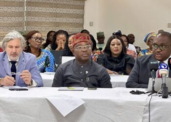 Nigerian military cleared of forced abortion allegations in North-East