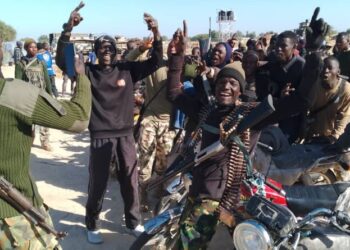 Troops eliminate 5 ISWAP terrorists in Kukawa LG of Borno