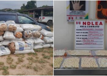 NDLEA Intercepts N4.4 Billion Cocaine Shipment at Lagos Airport, Detains 30 Suspects
