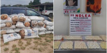 NDLEA Intercepts N4.4 Billion Cocaine Shipment at Lagos Airport, Detains 30 Suspects