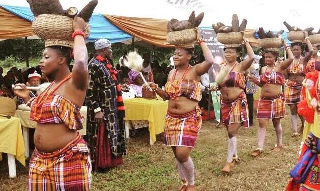New Yam Festival: Soludo tasks Anambra indigenes on agriculture