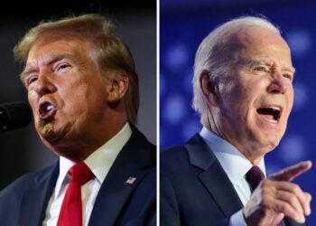 Biden to meet Trump at White House on Wednesday