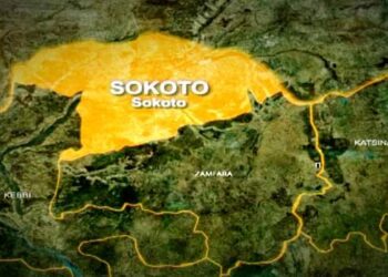 25 killed in Sokoto cholera outbreak, 1160 cases treated – Official