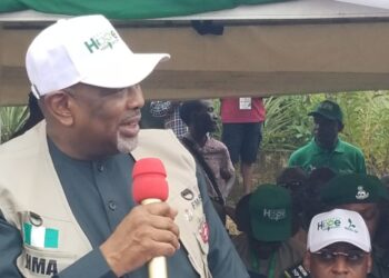 FG secures loan facility of $134m from AfDB