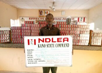 Hard drugs: 929 suspects arrested in Kwara within 12 months – NDLEA