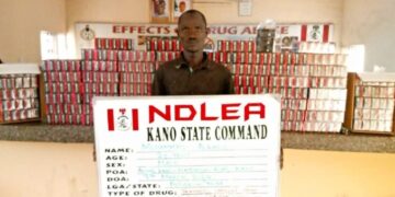 Hard drugs: 929 suspects arrested in Kwara within 12 months – NDLEA