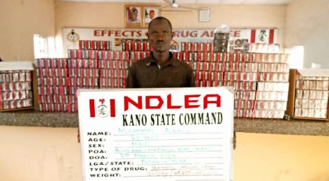 Hard drugs: 929 suspects arrested in Kwara within 12 months – NDLEA