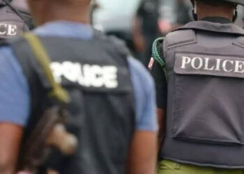 Police arrest suspect captured on CCTV stealing phone in Lagos eatery