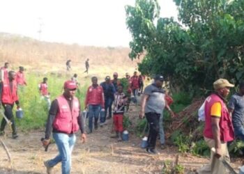 Christmas: NDLEA raids Kano drug dens, arrests 34 suspects