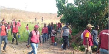 Christmas: NDLEA raids Kano drug dens, arrests 34 suspects