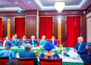 Energy, solid minerals top priority, Tinubu tells German businessmen