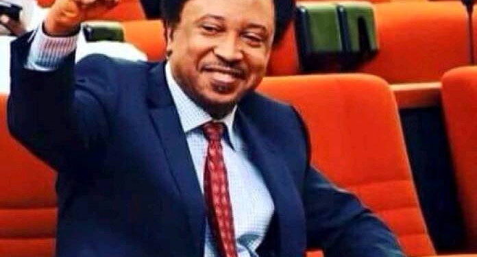 Why Kaduna Varsity Appoints Sen. Shehu Sani As Ambassador Green Sustainability Initiative