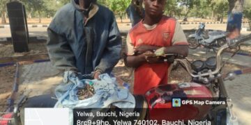 Troops nab 2 terrorists’ logistics suppliers, 256 others in 1 week – DHQ