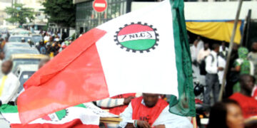 NLC directs workers in FCT area councils to begin strike Dec. 1