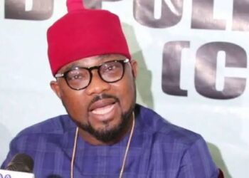 PDP expels Ugochinyere over alleged indiscipline, anti-party activities
