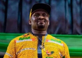 INEC recognises Ezeokenwa as APGA Chairman