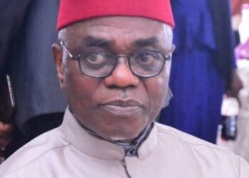 Ohanaeze gets new President-General to replace late Iwuanyanwu