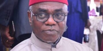 Ohanaeze gets new President-General to replace late Iwuanyanwu