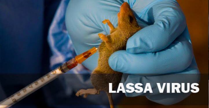 NCDC raises alarm over rising Lassa fever cases amid peak season