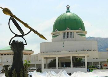 Will Independent Candidacy Bill secure the 10th National Assembly’s place in history?